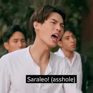 🍑 Saraleo! (asshole) telegram sticker