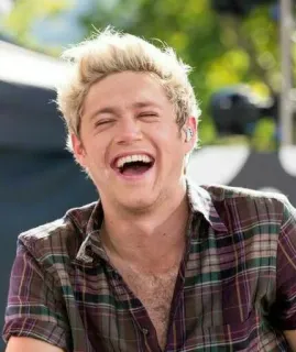 😝 Niall Horan Niall Horan, One Direction, singer, celebrity, person, male, pop star, music telegram sticker