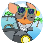 🏎 desenho animado, animal, carro, dirigindo, óculos de sol, verão, praia whatsapp sticker