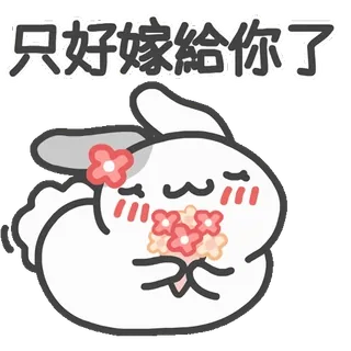 🌹 只好嫁給你了 婚礼, 兔子, 可爱, 花, 婚姻 telegram sticker