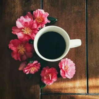 ☕️ caffè, fiori, camelie, natura morta, bevanda, floreale, bevanda telegram sticker