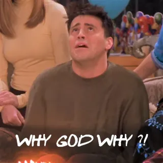 😢 WHY GOD WHY ?! Meme, Expressão, Pergunta, Comédia, Triste telegram sticker