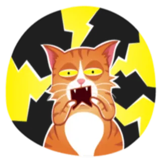 😱 고양이, 화난, 번개, 충격, 충격받은, 만화 telegram sticker