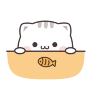 👁 cat, kitten, fish, cute, kawaii, animal telegram sticker