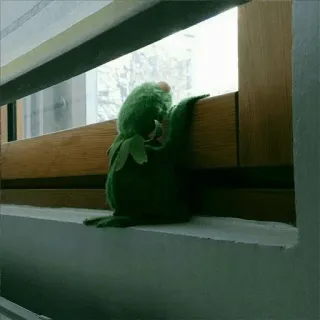 💚 Kermit Kermit, puppet, green, frog, window, sad, muppet telegram sticker