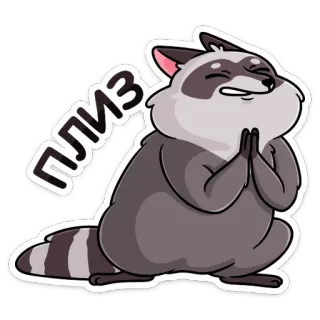 🙏 плиз rakun, lucu, memohon, tolong, memelas, kartun telegram sticker
