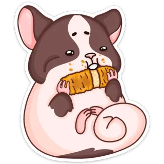 🌽 햄스터, 귀여운, 동물, 음식, 스티커, 설치류, 먹는, 만화 telegram sticker