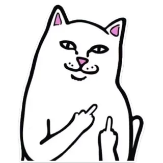🖕 cat, middle finger, rude, offensive, animal telegram sticker