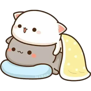 💤 chat, mignon, kawaii, autocollant, animal whatsapp sticker