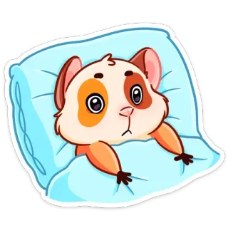 😳 หนูตะเภา, สัตว์, น่ารัก, ง่วง, หมอน, เตียง telegram sticker