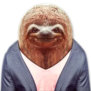 ☺ paresseux, costume, animal, drôle, mignon, personnage, bureau, affaires telegram sticker