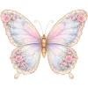 🦋