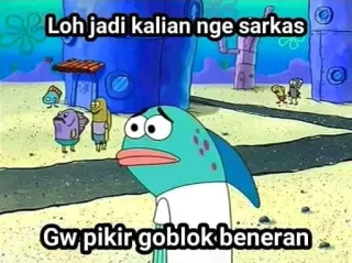 🤔 Loh jadi kalian nge sarkas
Gw pikir goblok beneran spongebob, dessin animé, drôle, mème whatsapp sticker