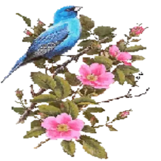 Ⓜ️ vogel, blume, natur, frühling, blumenmuster whatsapp sticker