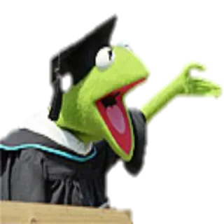 🎓 Kermit the Frog remise de diplôme, kermit, muppets, grenouille, drôle telegram sticker