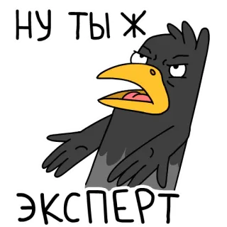 😟 НУ ТЫ Ж ЭКСПЕРТ bird, cartoon, russian, expert whatsapp sticker