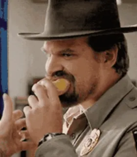 🍏 Jim Hopper Stranger Things Jim Hopper, Stranger Things, Sheriff, Makan, Karakter, David Harbour whatsapp sticker