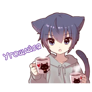☕ УГОЩАЙСЯ Anime, Catboy, Kawa, Słodki, Ofiarowanie telegram sticker