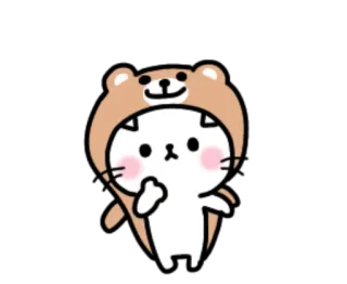 🎃 кот, медведь, животное, стикер, мультфильм, средний палец whatsapp sticker