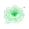 💚