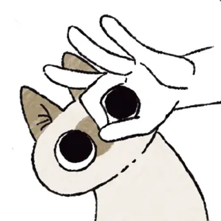 👌 ok gesture, cat, animals, hand, offensive gesture, internet culture telegram sticker