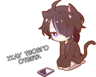 ⏳ ЖДУ ТВОЕГО ОТВЕТА Anime, Esperando, Fofo, Triste, Catboy telegram sticker