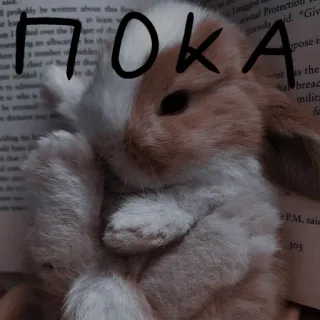 🐰 ΠΟΚΑ lapin, mignon, lapin, animal, russe, au revoir, bye whatsapp sticker