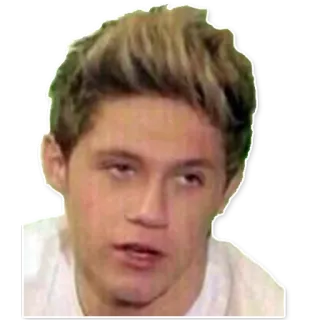 🙄 Niall Horan Niall Horan, One Direction, chanteur, célébrité, pop star, portrait telegram sticker