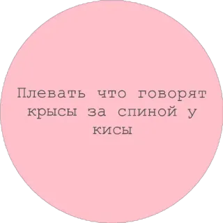 🖕 Плевать что говорят крысы за спиной у кисы telegram sticker