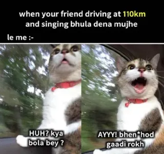 🤔 when your friend driving at 110km and singing bhula dena mujhe le me :- HUH? kya bola bey ? AYYY! bhen*hod gaadi rokh cat, driving, meme, friend, funny telegram sticker