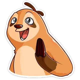 😳 kukang, hewan, lucu, kartun, ramah, lucu telegram sticker