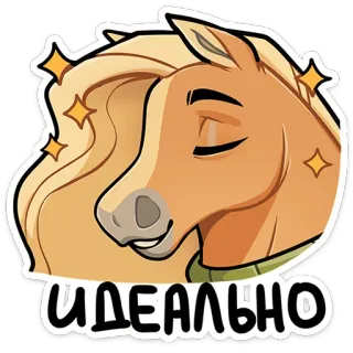 🐴 ИДЕАЛЬНО ngựa, hoàn hảo, lý tưởng, động vật, phim hoạt hình whatsapp sticker