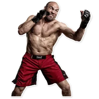 🐽 fighting, mma, athlete, sports, boxing, fighter telegram sticker