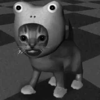 🐈‍⬛️ кот, лягушка, животное, смешной, мем, милый telegram sticker