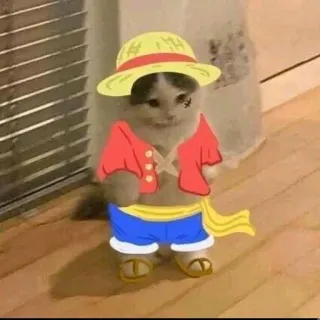 👒 Monkey D. Luffy One Piece cat, one piece, anime, monkey d luffy, cartoon telegram sticker
