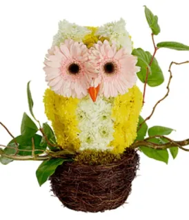 🌸 sowa, kwiaty, kompozycja kwiatowa, ptak, natura, gerbera, dekoracja telegram sticker