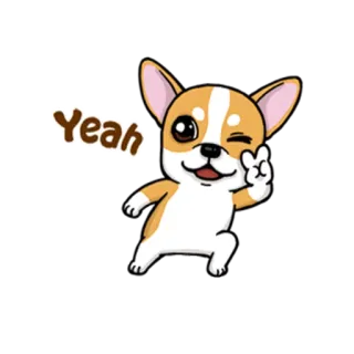 ✌ Yeah hond, dier, chihuahua, schattig, huisdier, vredesteken, knipoog, blij telegram sticker