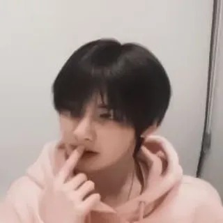 🦊 whatsapp sticker