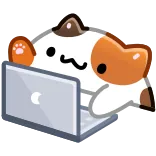 🧑‍💻 gato, laptop, animal, fofo, internet, computador, trabalho telegram sticker