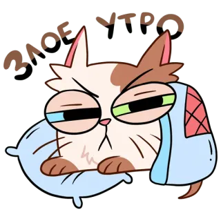 😴 RAGE YTRO chat, endormi, oreiller, agacé, dessin animé, grincheux, fatigué whatsapp sticker