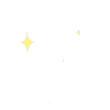 ✨