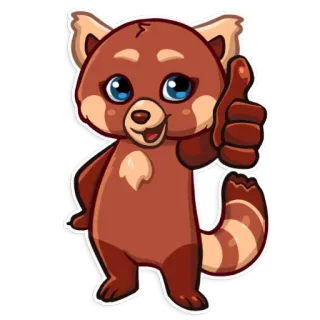 👍 animal, panda rojo, pulgar arriba, lindo, sticker, dibujo animado whatsapp sticker