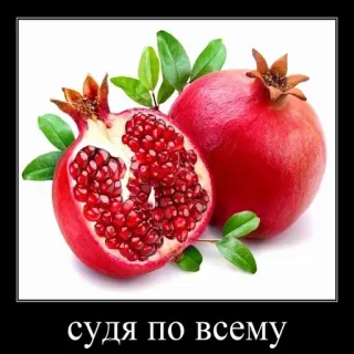 🤔 судя по всему melograno, frutta, cibo, natura morta, pianta telegram sticker
