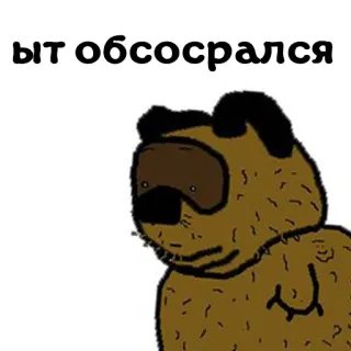 💩 ЫТ ОБСОСРАЛСЯ urso, desenho animado, russo, texto, ofensivo, meme whatsapp sticker