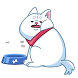 🍴 cat, sticker, animal, white cat, pet, cartoon telegram sticker