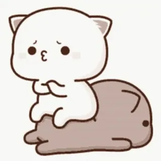🎈 schattig, kat, kawaii, sticker, chibi whatsapp sticker
