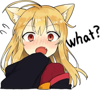 😨 what? Anime, Catgirl, Frage, Verwirrt, Süß whatsapp sticker