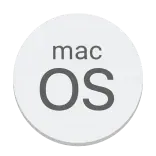 💻