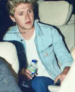 🥀 Niall Horan Niallers Hair celebrity, singer, pop, one direction, niall horan, male, portrait telegram sticker