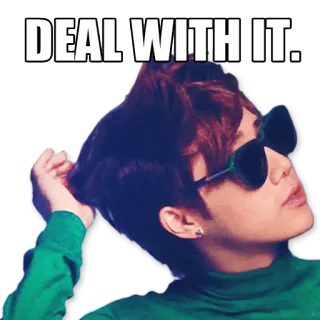 😎 DEAL WITH IT. 쩔어, 선글라스, 밈, 멋짐 telegram sticker